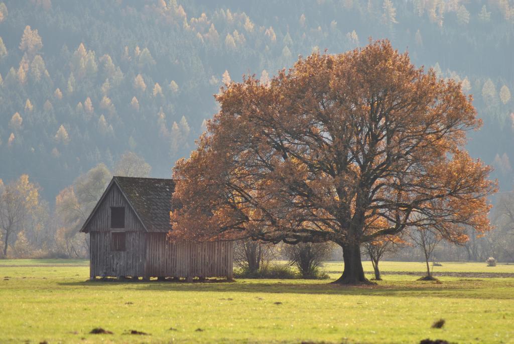 Ferienwohnung Pichlarn Aigen im Ennstal Esterno foto
